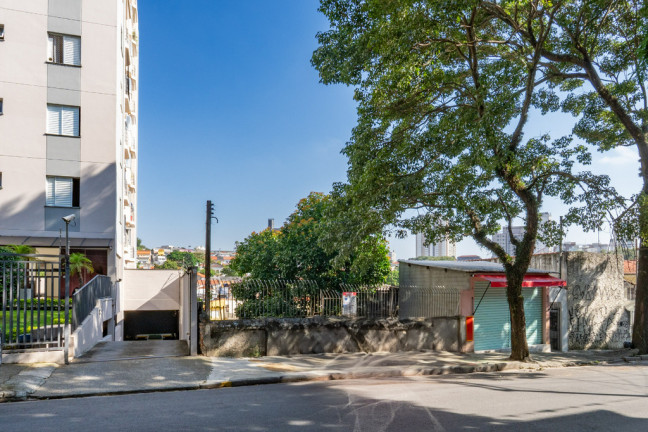 Imagem Terreno à Venda, 700 m² em Vila Anglo Brasileira - São Paulo Imagem Terreno à Venda, 700 m² em Vila Anglo Brasileira - São Paulo