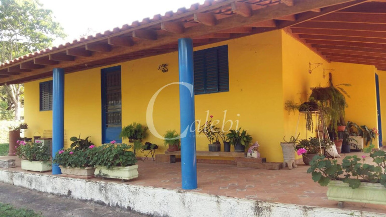Imagem Chácara com 3 Quartos à Venda, 43.000 m² em Artur Nogueira