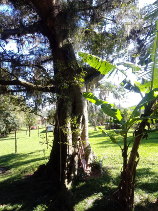 Imagem Casa com 2 Quartos à Venda, 8.000 m² em Itapuã - Viamão