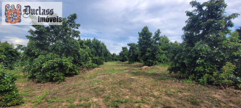 Imagem Chácara com 2 Quartos à Venda, 44.500 m² em Capivari - Monte Mor Imagem Chácara com 2 Quartos à Venda, 44.500 m² em Capivari - Monte Mor