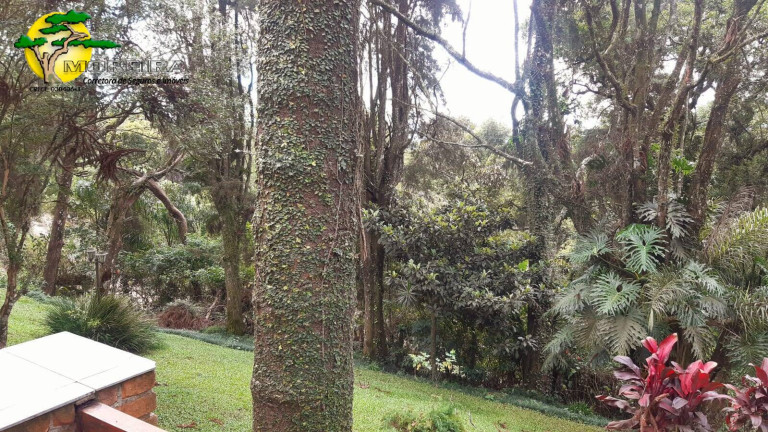 Imagem Casa de Condomínio à Venda, em São Paulo Imagem Casa de Condomínio à Venda, em São Paulo