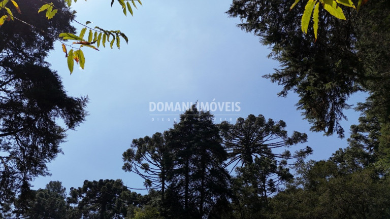 Imagem Terreno à Venda, 1.110 m² em Região De Capivari - Campos Do Jordão Imagem Terreno à Venda, 1.110 m² em Região De Capivari - Campos Do Jordão