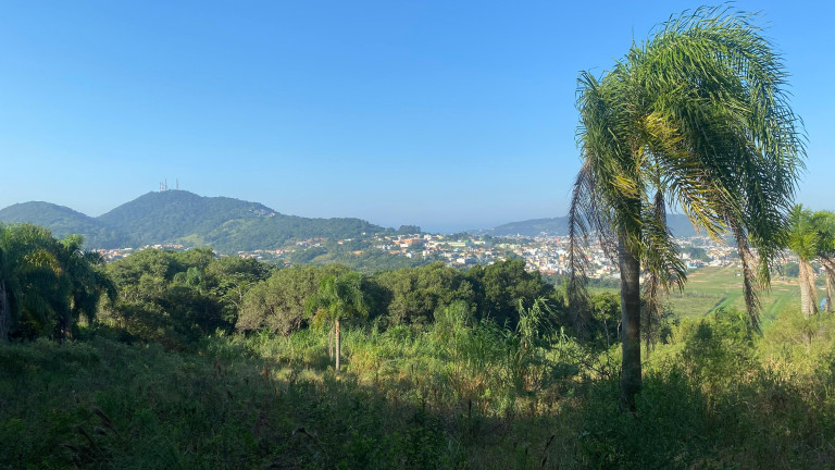 Imagem Terreno à Venda, 61.000 m² em Ambrósio - Garopaba