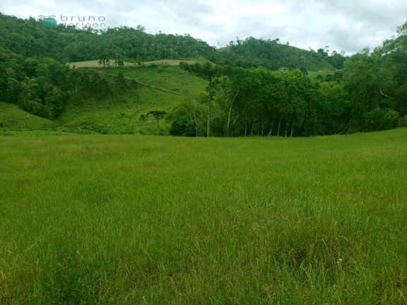 Imagem Imóvel à Venda, 70.000 m² em Zona Rural - Alfredo Wagner Imagem Imóvel à Venda, 70.000 m² em Zona Rural - Alfredo Wagner