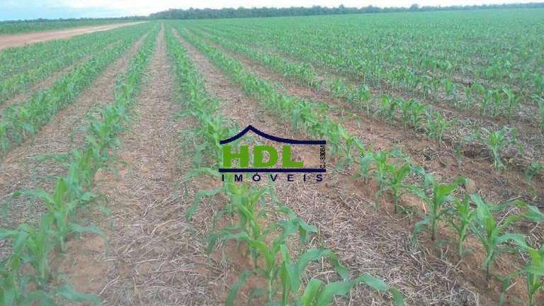 Imagem Fazenda à Venda, em Zona Rural - Confresa Imagem Fazenda à Venda, em Zona Rural - Confresa