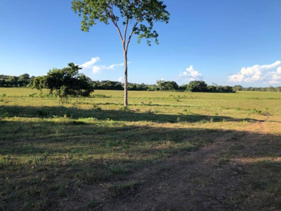 Fazenda à Venda, 150 m² em Zona Rural - Amaralina
