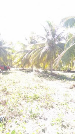 Imagem Terreno à Venda, 2 m² em São Cristóvão - Salvador Imagem Terreno à Venda, 2 m² em São Cristóvão - Salvador