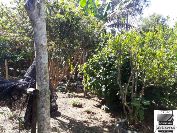 Imagem Imóvel com 3 Quartos à Venda, em Araçoiaba Da Serra - Araçoiaba Da Serra Imagem Imóvel com 3 Quartos à Venda, em Araçoiaba Da Serra - Araçoiaba Da Serra