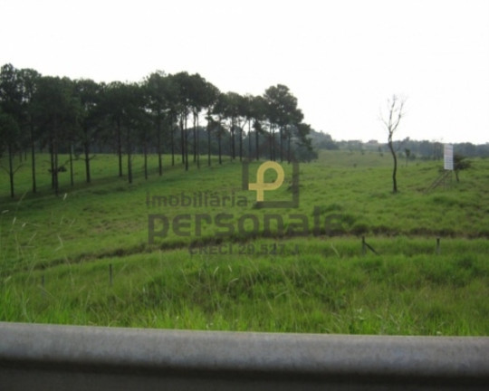 Imóvel à Venda, 50.000 m² em Brigadeiro Tobias - Sorocaba