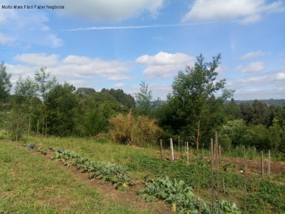 Imagem Terreno à Venda, 4 m² em Pinhal Alto - Nova Petrópolis