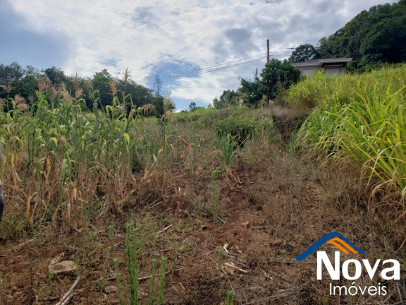 Imagem Imóvel à Venda, 685 m² em Pousada Da Neve - Nova Petrópolis Imagem Imóvel à Venda, 685 m² em Pousada Da Neve - Nova Petrópolis
