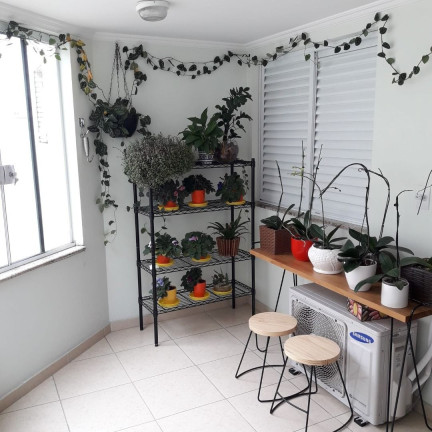 Imagem Imóvel com 3 Quartos à Venda, 114 m² em Baeta Neves - São Bernardo Do Campo