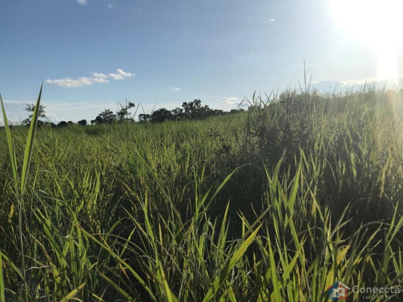Imagem Imóvel à Venda, 535.000 m² em Centro - Gurinhatã