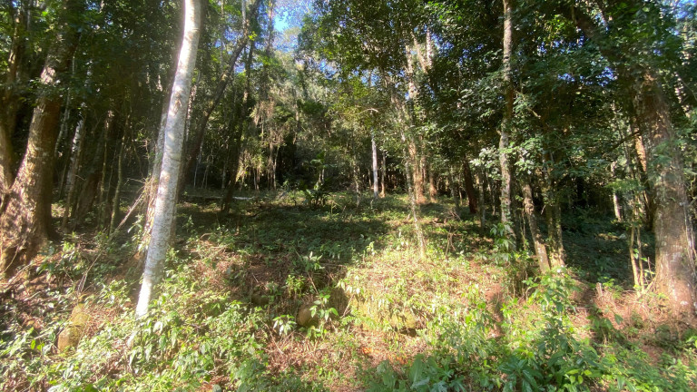 Imagem Terreno à Venda, 172.989 m² em Ressacada - Garopaba Imagem Terreno à Venda, 172.989 m² em Ressacada - Garopaba