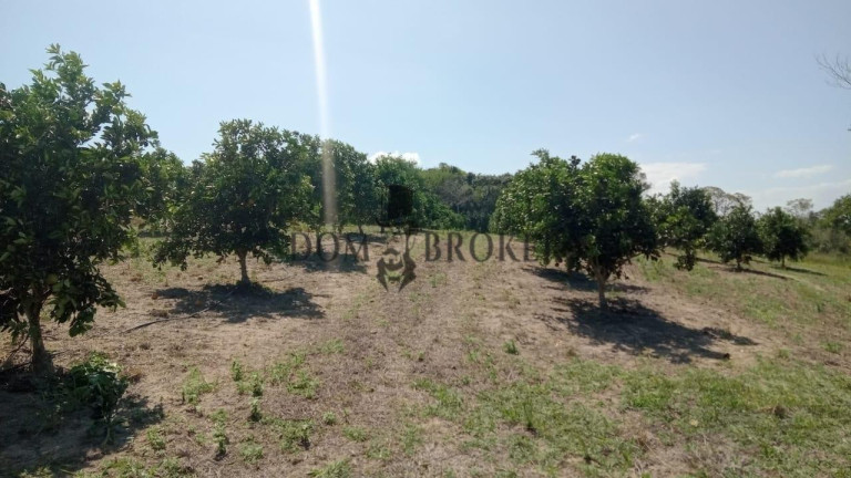 Imagem Fazenda à Venda, 555.000 m² em Sao Vicente - Araruama Imagem Fazenda à Venda, 555.000 m² em Sao Vicente - Araruama