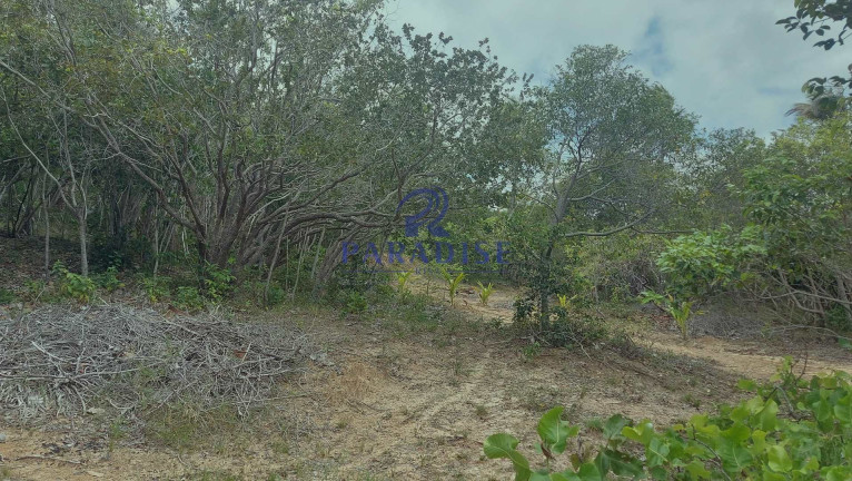 Imagem Terreno à Venda, 6.000 m² em Diogo - Mata De São João Imagem Terreno à Venda, 6.000 m² em Diogo - Mata De São João