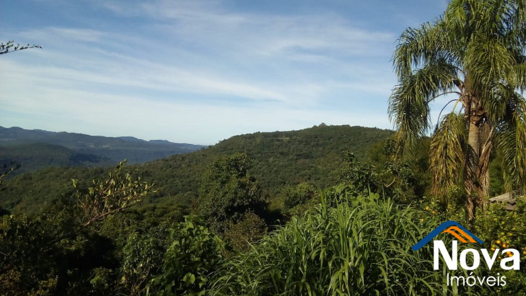 Imagem Imóvel à Venda, 300 m² em Vila Olinda - Nova Petrópolis Imagem Imóvel à Venda, 300 m² em Vila Olinda - Nova Petrópolis