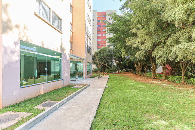 Imagem Apartamento com 2 Quartos à Venda, 55 m² em Bandeiras - Osasco Imagem Apartamento com 2 Quartos à Venda, 55 m² em Bandeiras - Osasco