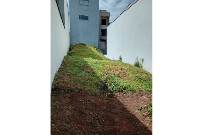 Imagem Terreno à Venda, 150 m² em Laranjeiras - Caieiras Imagem Terreno à Venda, 150 m² em Laranjeiras - Caieiras