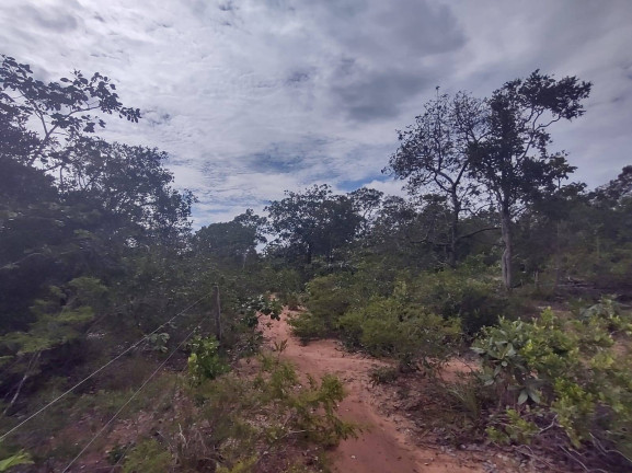 Imagem Fazenda à Venda, 75 m² em Uberlândia Imagem Fazenda à Venda, 75 m² em Uberlândia