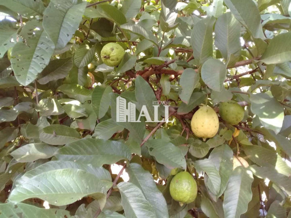 Imagem Fazenda à Venda, 500 m² em Centro - Bálsamo