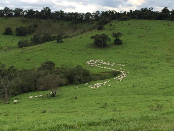 Imagem Fazenda à Venda, 120 m² em Zona Rural - Cruzília Imagem Fazenda à Venda, 120 m² em Zona Rural - Cruzília