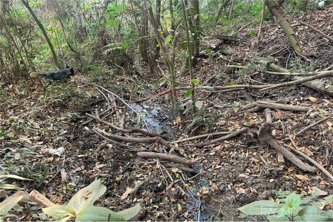 Imagem Fazenda à Venda, 710.000 m² em Perdizes - Perdizes Imagem Fazenda à Venda, 710.000 m² em Perdizes - Perdizes