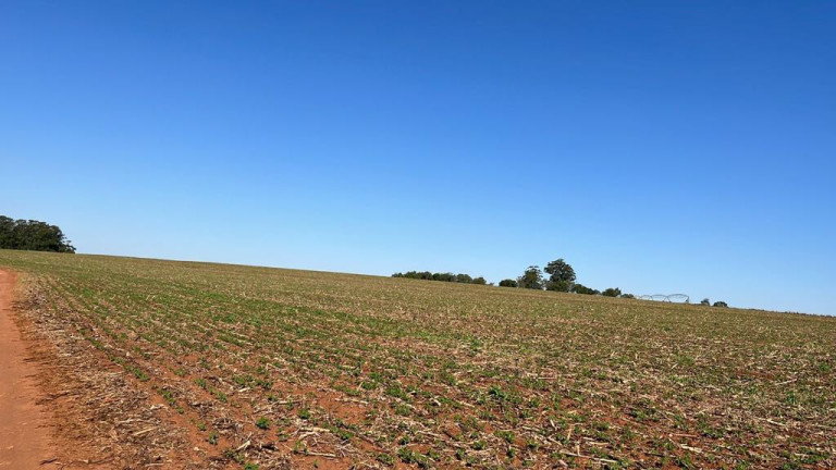 Imagem Fazenda à Venda, 95 m² em Rural - Paranapanema Imagem Fazenda à Venda, 95 m² em Rural - Paranapanema