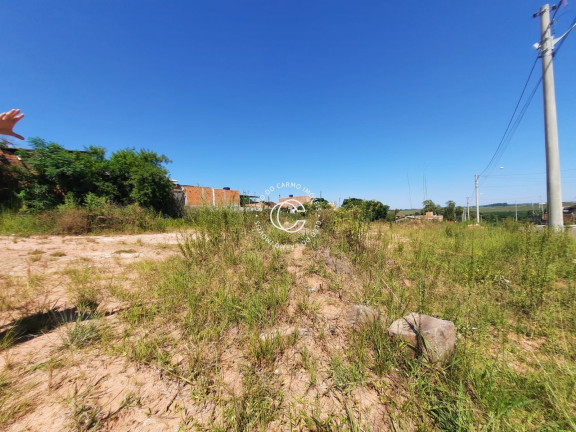 Imagem Terreno à Venda, 250 m² em Tomazetti - Santa Maria Imagem Terreno à Venda, 250 m² em Tomazetti - Santa Maria