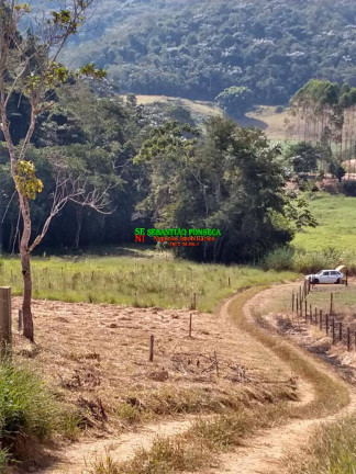 Imagem Chácara à Venda, 6.000 m² em Bairro Dos Pinheiros - Natividade Da Serra Imagem Chácara à Venda, 6.000 m² em Bairro Dos Pinheiros - Natividade Da Serra