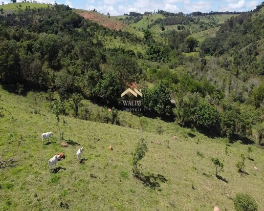 Imagem Imóvel com 3 Quartos à Venda, 55 m² em Brasilândia - Carmópolis De Minas