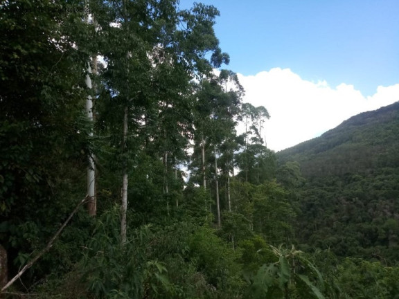 Imagem Terreno à Venda, 8 m² em Germânia - Nova Petrópolis