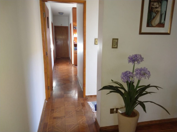 Imagem Casa com 3 Quartos à Venda, 335 m² em Saúde - São Paulo