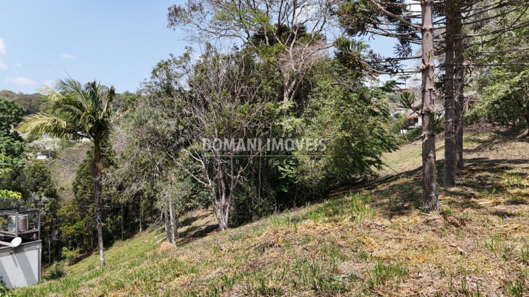 Imagem Terreno à Venda, 1.215 m² em Região De Santo Antônio Do Pinhal - Santo Antônio Do Pinhal Imagem Terreno à Venda, 1.215 m² em Região De Santo Antônio Do Pinhal - Santo Antônio Do Pinhal
