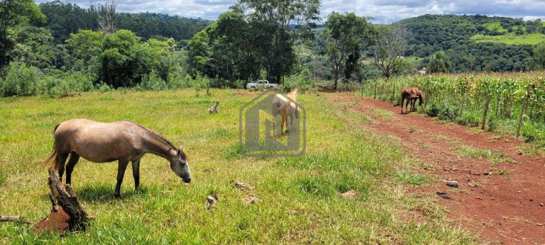 Imagem Imóvel à Venda, 2 m² em Presidente - Cascavel Imagem Imóvel à Venda, 2 m² em Presidente - Cascavel