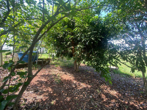 Imagem Fazenda à Venda, 18.000 m² em Limeira - Rio Manso Imagem Fazenda à Venda, 18.000 m² em Limeira - Rio Manso