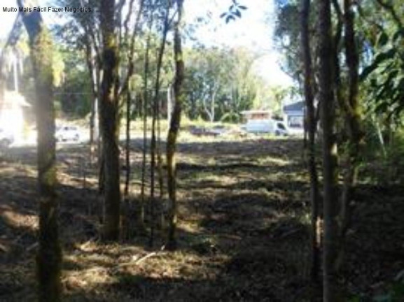 Imagem Terreno à Venda, 528 m² em Juriti - Nova Petrópolis Imagem Terreno à Venda, 528 m² em Juriti - Nova Petrópolis