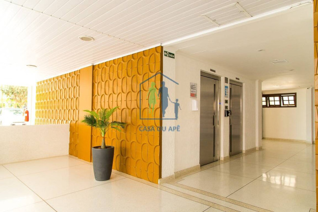 Imagem Apartamento com 3 Quartos à Venda, 78 m² em Vila Campestre - São Paulo Imagem Apartamento com 3 Quartos à Venda, 78 m² em Vila Campestre - São Paulo