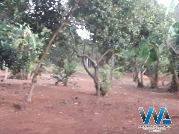 Imagem Chácara com 3 Quartos à Venda, 350 m² em Biriça Do Campinho - Bragança Paulista