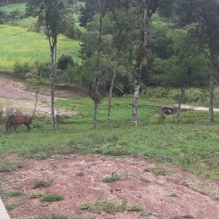 Imagem Imóvel com 3 Quartos à Venda,  em Antonio Olinto - Antônio Olinto