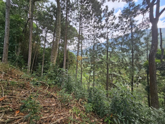 Imagem Terreno à Venda, 670 m² em Cascata Dos Amores - Teresópolis Imagem Terreno à Venda, 670 m² em Cascata Dos Amores - Teresópolis