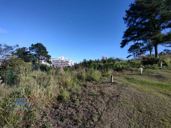 Imagem Terreno à Venda, 450 m² em Itacorubi - Florianópolis Imagem Terreno à Venda, 450 m² em Itacorubi - Florianópolis