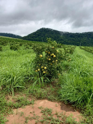 Imagem Fazenda à Venda, 181 m² em Rural - Araraquara Imagem Fazenda à Venda, 181 m² em Rural - Araraquara