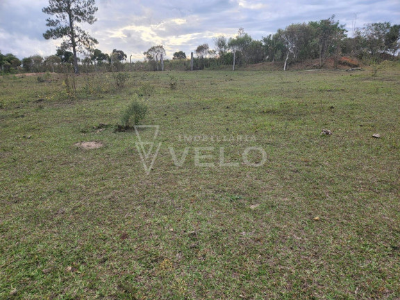 Imagem Imóvel com 2 Quartos à Venda, 8.000 m² em Bom Retiro Da Esperança - Angatuba Imagem Imóvel com 2 Quartos à Venda, 8.000 m² em Bom Retiro Da Esperança - Angatuba