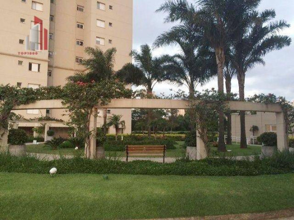 Imagem Apartamento com 3 Quartos à Venda, 80 m² em Vila Leopoldina - São Paulo Imagem Apartamento com 3 Quartos à Venda, 80 m² em Vila Leopoldina - São Paulo