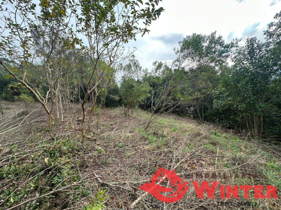 Imagem Chácara à Venda, 40.000 m² em Forqueta - Vale Real Imagem Chácara à Venda, 40.000 m² em Forqueta - Vale Real