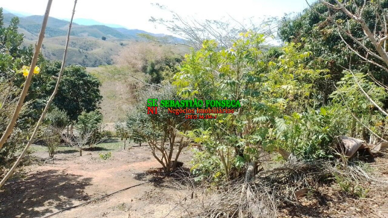 Imagem Chácara com 3 Quartos à Venda, 20.800 m² em área Rural De São José Dos Campos - São José Dos Campos Imagem Chácara com 3 Quartos à Venda, 20.800 m² em área Rural De São José Dos Campos - São José Dos Campos