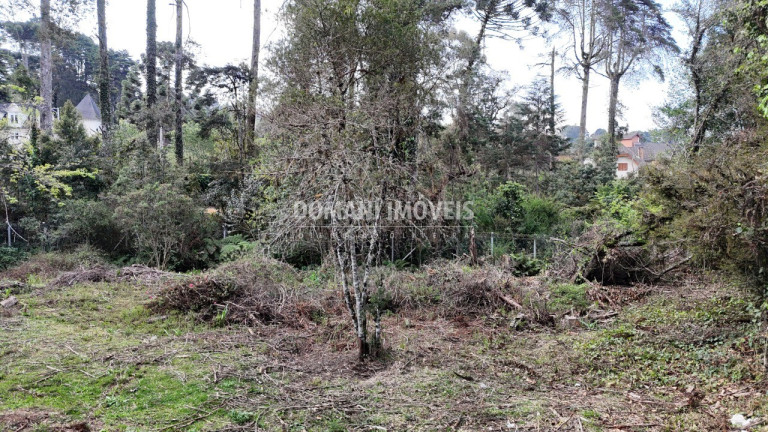Imagem Terreno à Venda, 1.200 m² em Região De Capivari - Campos Do Jordão Imagem Terreno à Venda, 1.200 m² em Região De Capivari - Campos Do Jordão