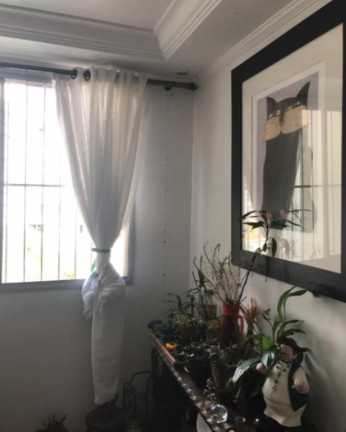 Imagem Apartamento com 2 Quartos à Venda, 70 m² em Vila Mascote - Sao Paulo Imagem Apartamento com 2 Quartos à Venda, 70 m² em Vila Mascote - Sao Paulo