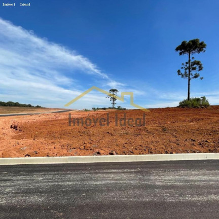 Imagem Terreno à Venda, 230 m² em Costeira - Araucária